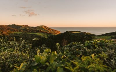 Plant-Based Cooking  LUXURY RETREAT  Kula Muriwai  West Auckland  Sept 8th – 10th 2023